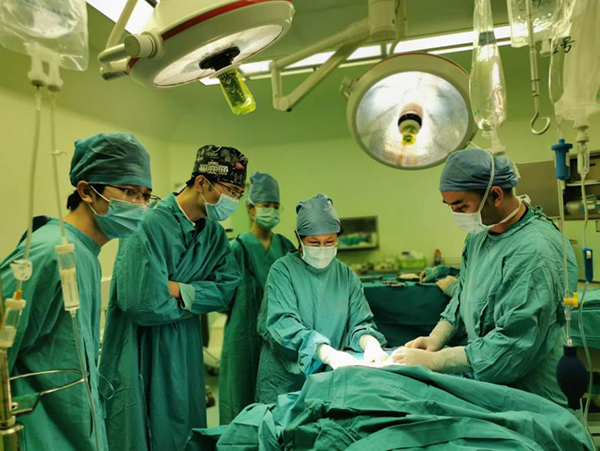 图片10.jpg 图片10.jpg