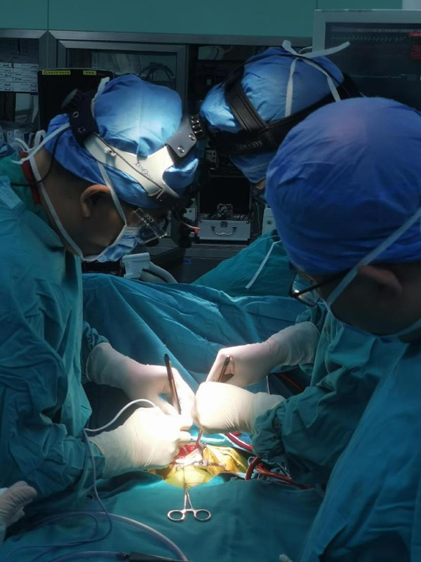 图片1.jpg 图片1.jpg