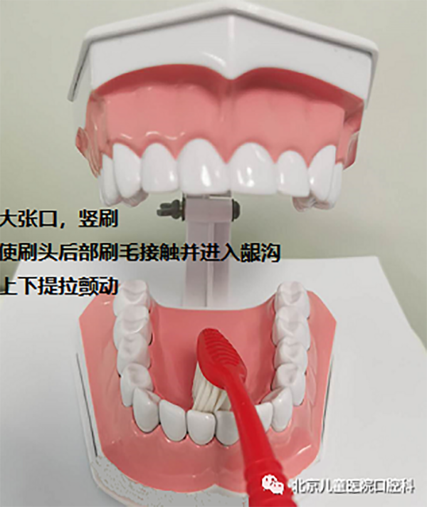 图片 201.png