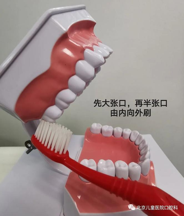 图片 204.png
