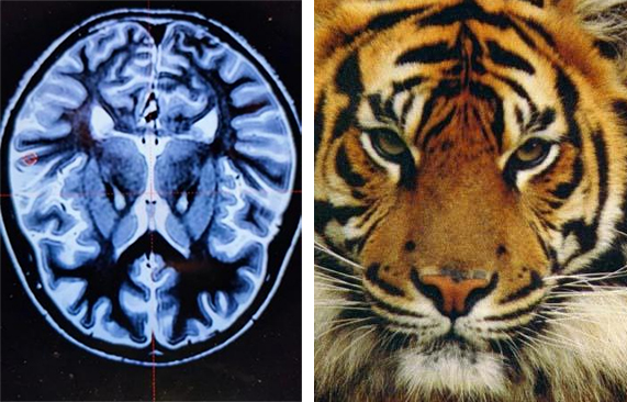 图片19.jpg 图片19.jpg