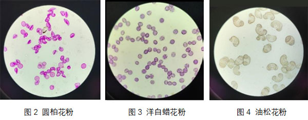 未标题-1.jpg