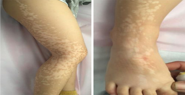 图片1.jpg 图片1.jpg