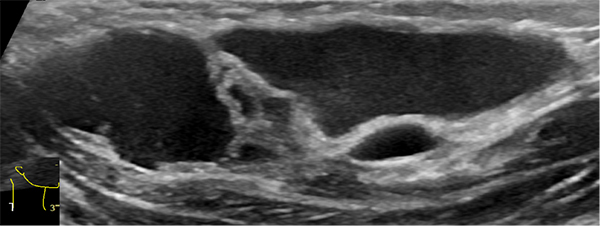 图片19.jpg 图片19.jpg