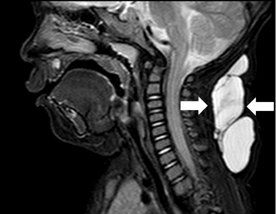 图片21.jpg 图片21.jpg