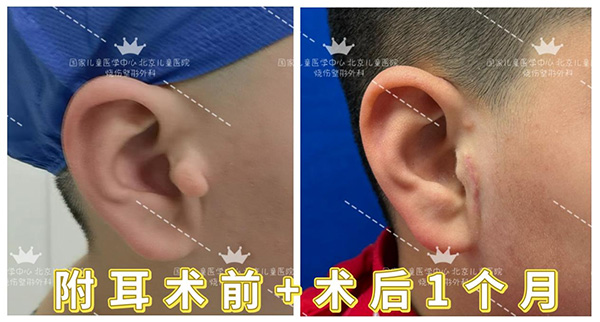 图片43.jpg