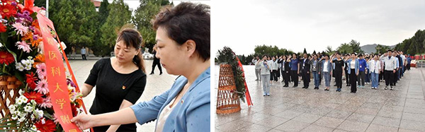 图片-4.jpg