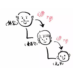 图片35.jpg