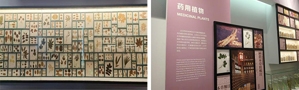 图片28.jpg