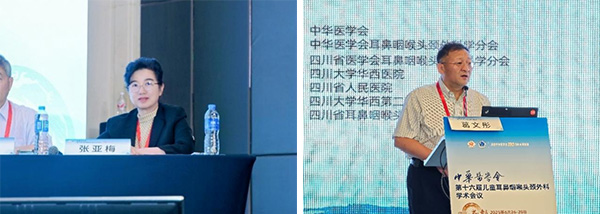 图片11.jpg 图片11.jpg