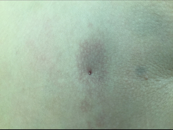 图片15.jpg 图片15.jpg