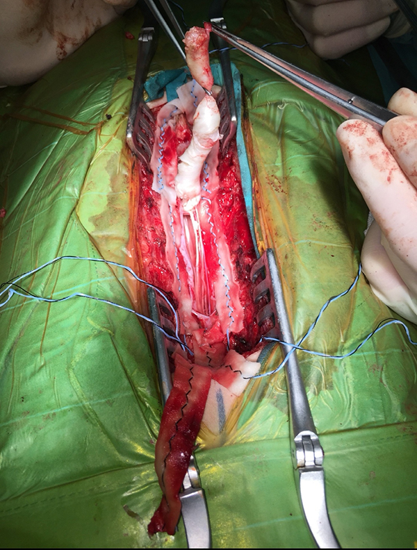 图片17.jpg 图片17.jpg