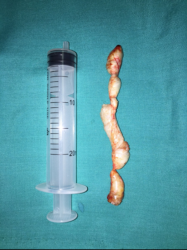 图片18.jpg 图片18.jpg