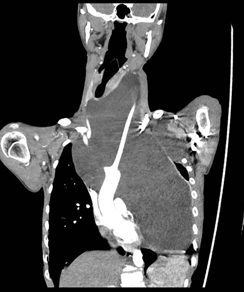 图片9.jpg 图片9.jpg