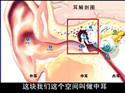 小儿中耳炎（上）
